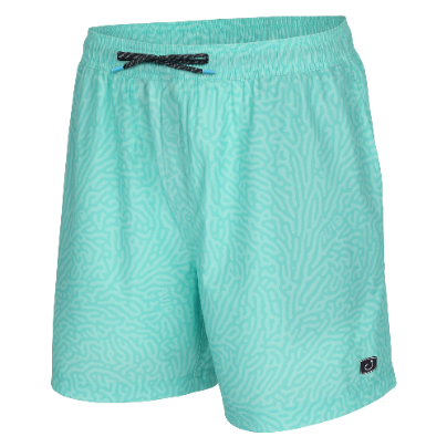 PALAPA VOLLEY TURING