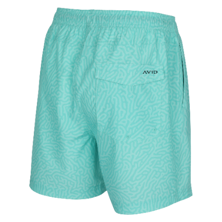 PALAPA VOLLEY TURING