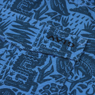 PALAPA VOLLEY FISH FOLK