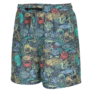 PALAPA VOLLEY SUBMARINE