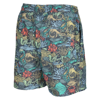 PALAPA VOLLEY SUBMARINE