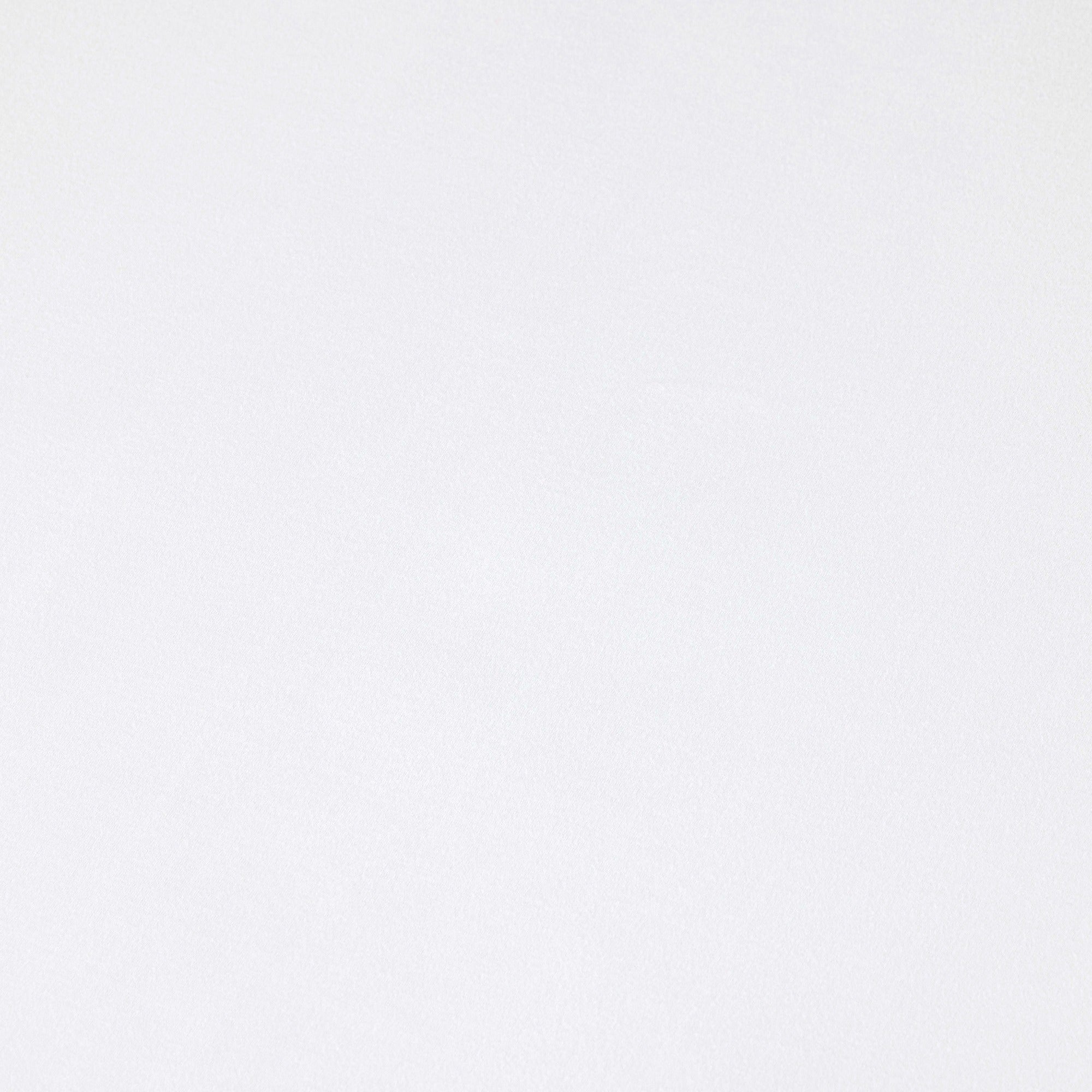 PACIFICO MAINLINE HOODIE