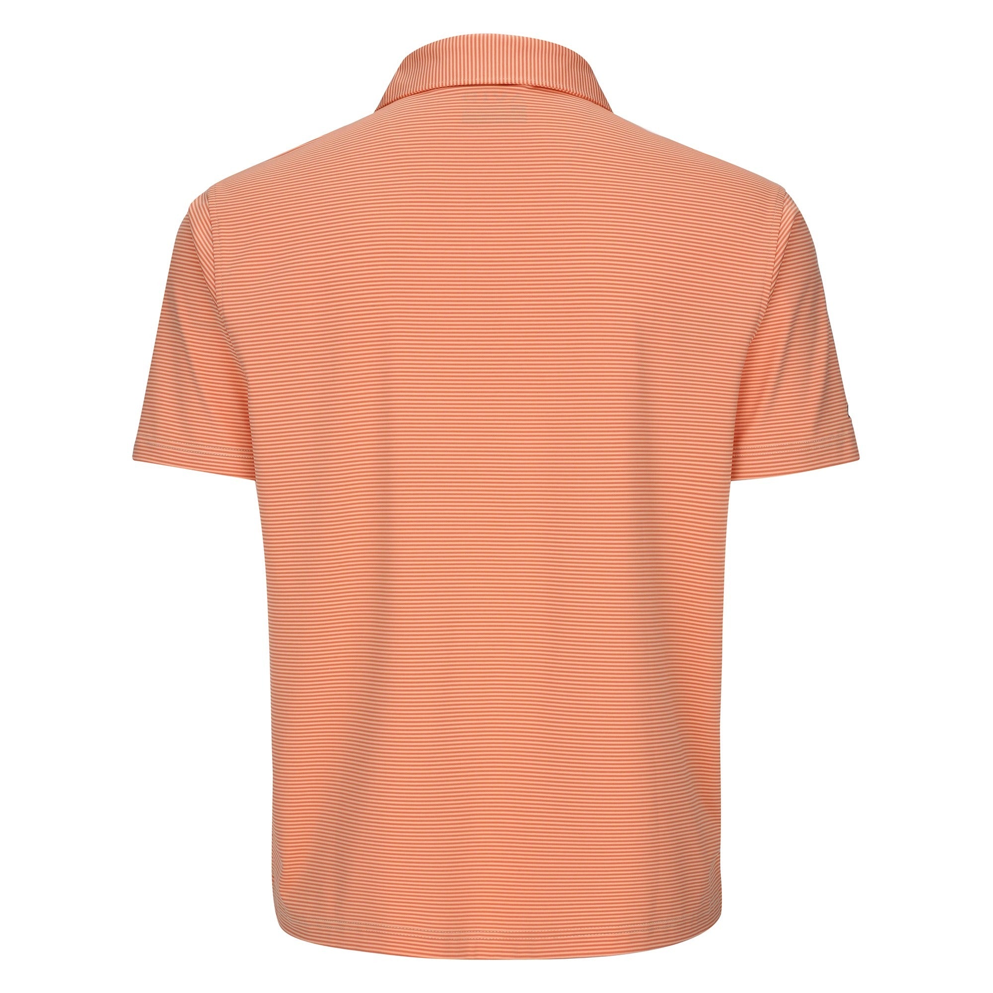 AVID Striped Polo