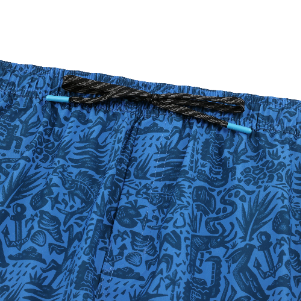 PALAPA VOLLEY FISH FOLK