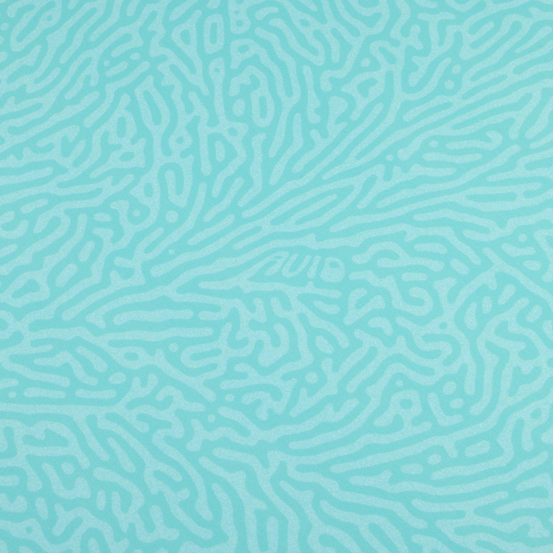 PACIFICO MAINLINE SS CREW TURING