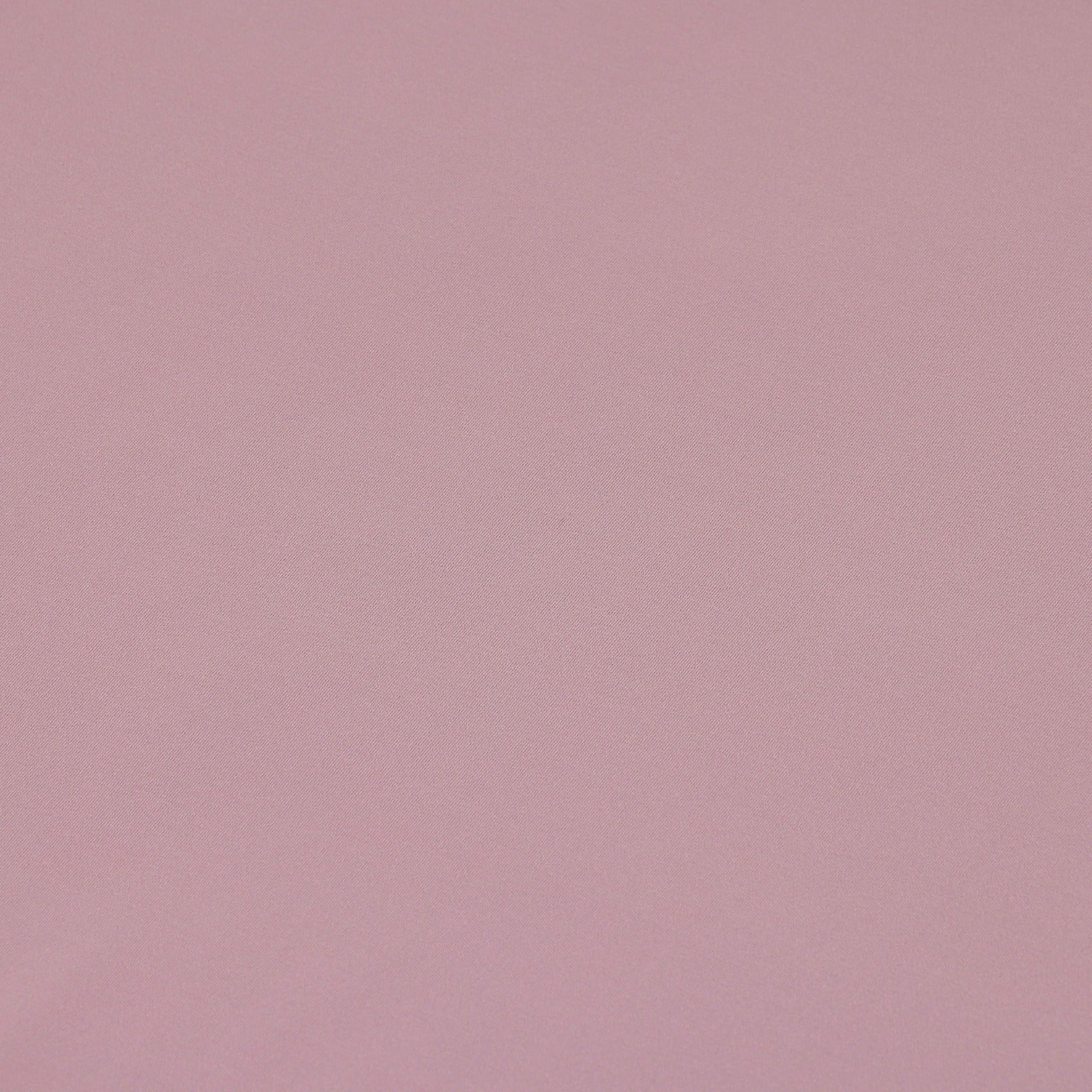 #color_elderberry